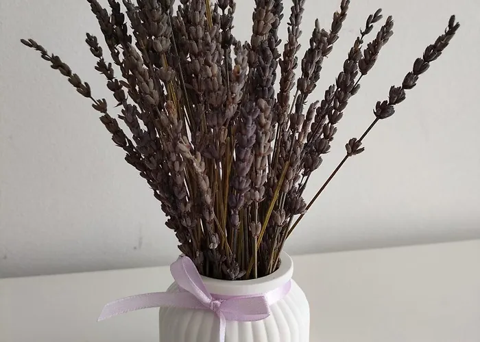 Douro View Apartment *